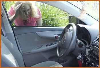 Village Locksmith Store Utica, MI 586-315-0019 - 15-emergency-lockout